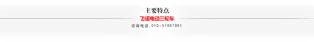 老年电动车主要特点